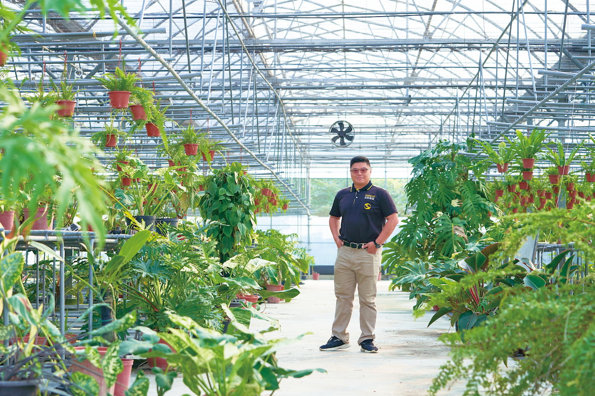 設施栽培導入智能環控　創造農業新利基：智慧溫室落地推廣　農村網路建設仍需補足